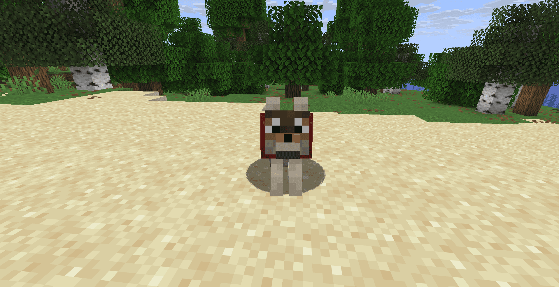 Як приручити волка (собаку) у Minecraft: кістки, 9 порід