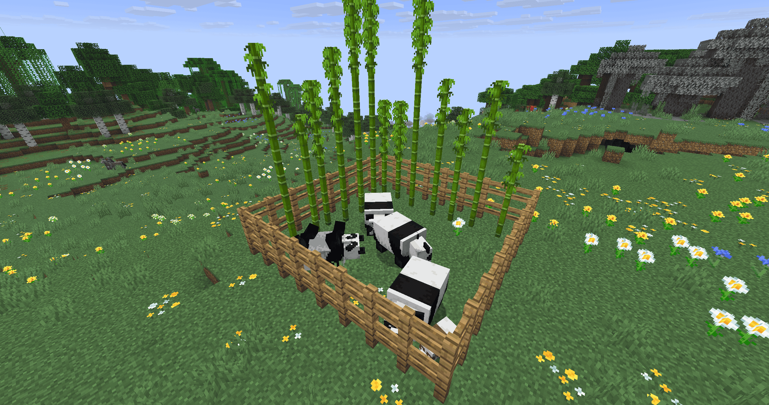 Як розводити панд у Minecraft