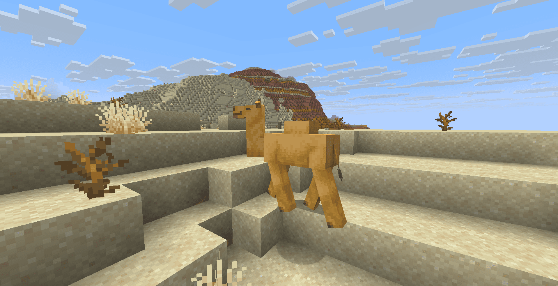 Чим годувати верблюда у Minecraft: розмноження та приборкання