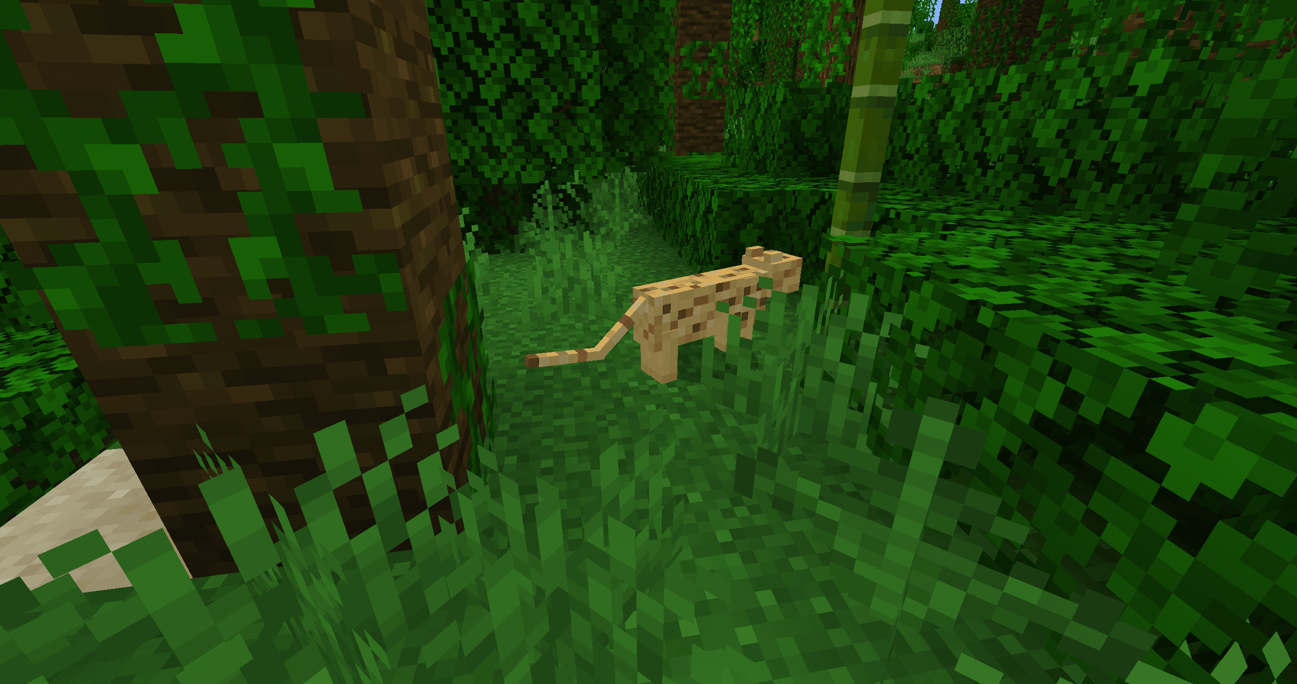 Як приручити оцелота в Minecraft