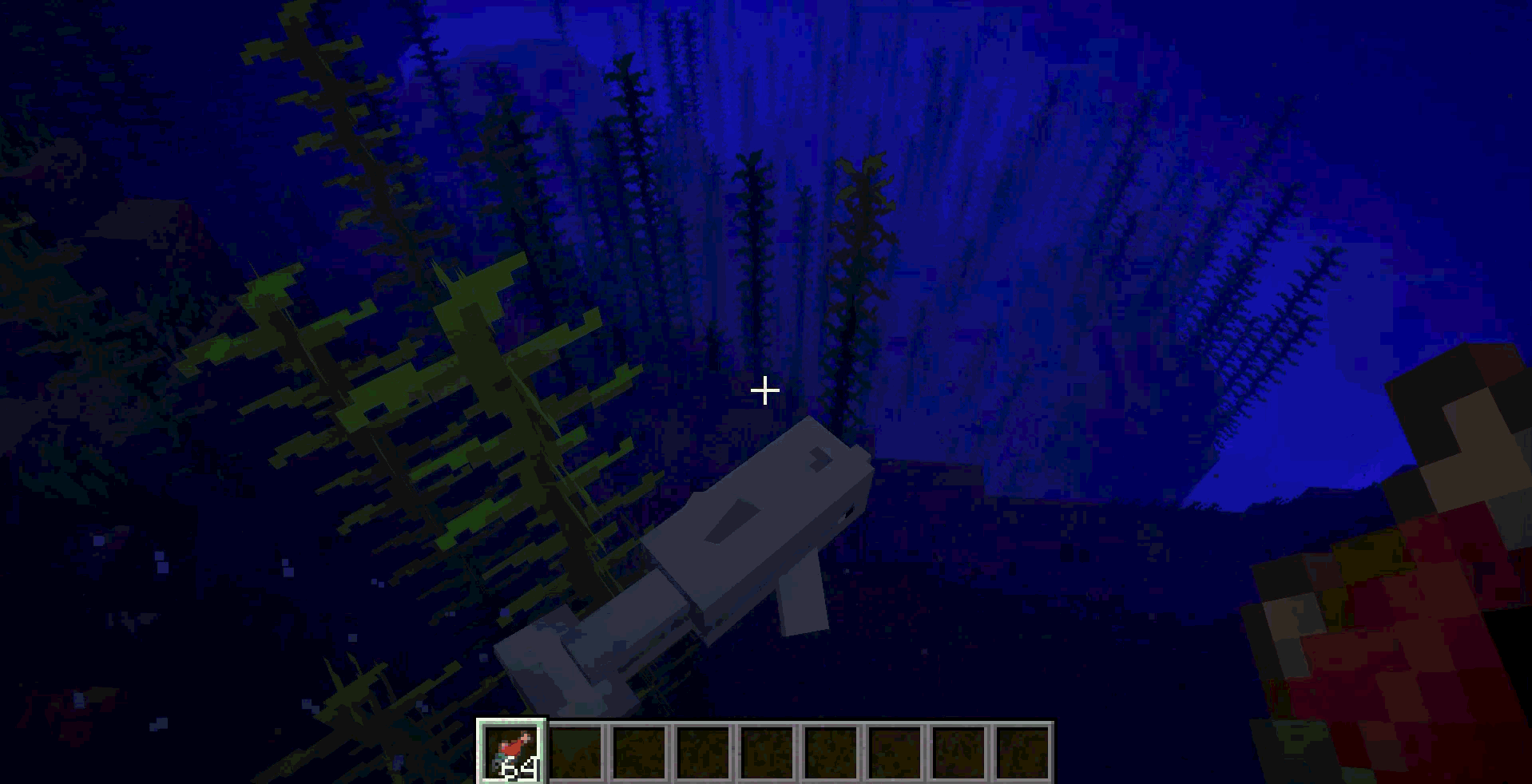 Дельфін у Minecraft: як приручити, отримати прискорення плавання та знайти скарби