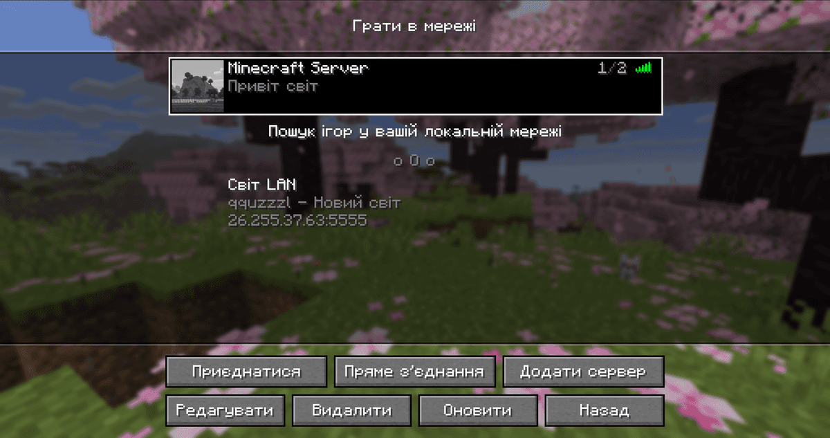 The MOTD field sets the line that players see in the multiplayer list below the server name. In vanilla, the MOTD for a LAN…