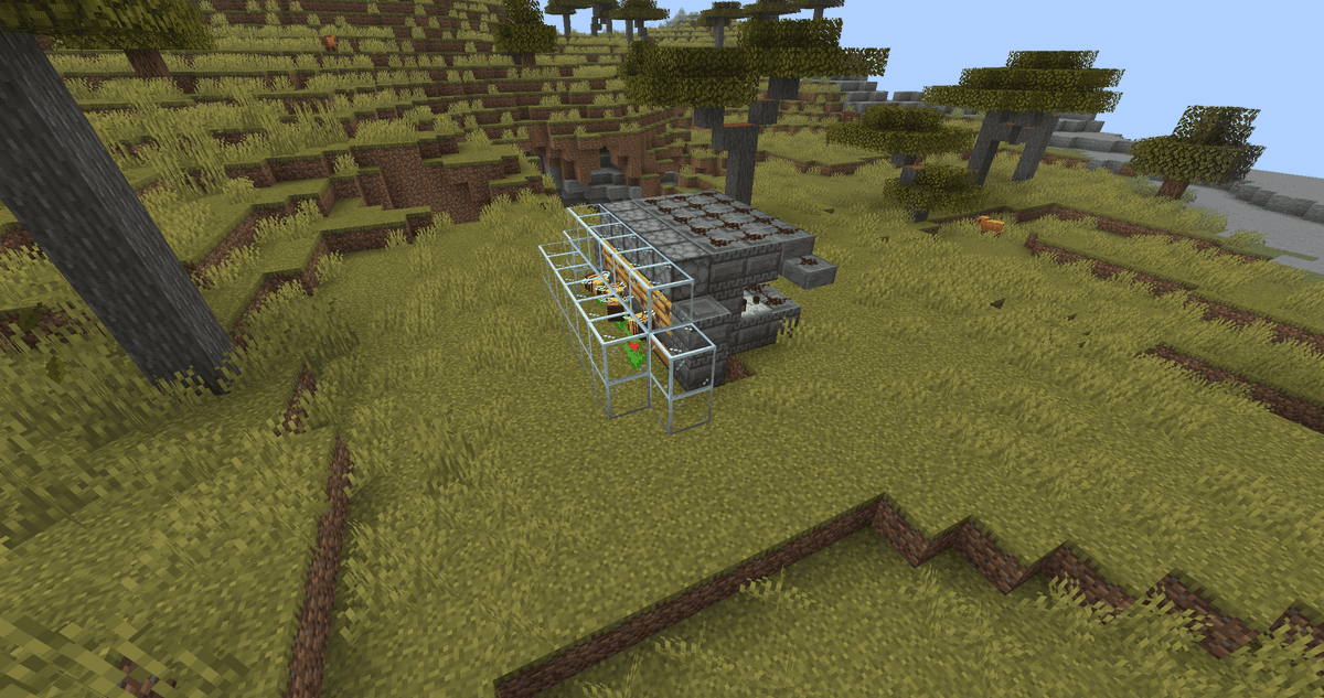 Next to the hives, at the flight level of the bees, plant some flowers — bees pollinate the same flowers repeatedly, so a…