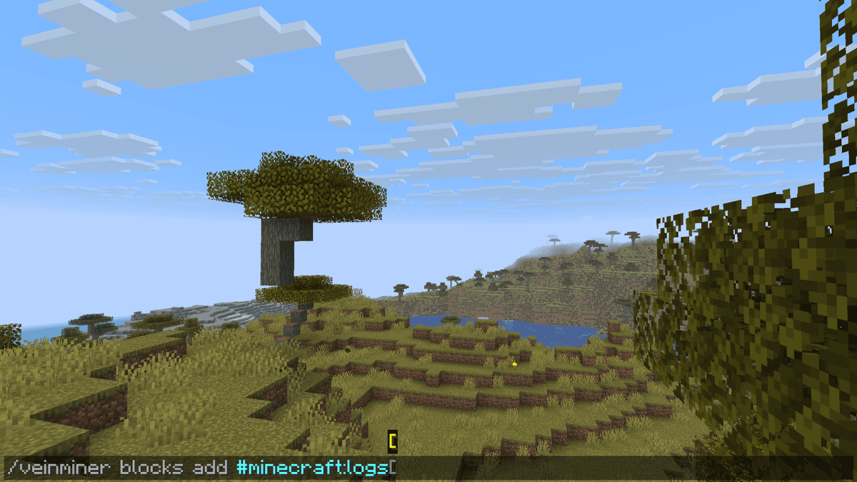 Other vanilla tags work the same way: #minecraft:planks, #minecraft:coal_ores, #minecraft:diamond_ores, #minecraft:leaves…