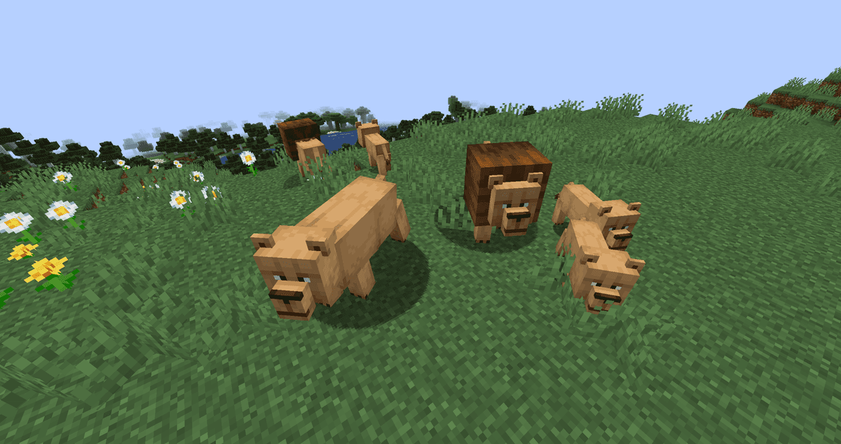 Lion spawns in a group of 3–5, which usually includes a cub. A maneless female becomes the leader; if she dies, the pride…