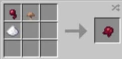 Mushroom (regular brown mushroom)