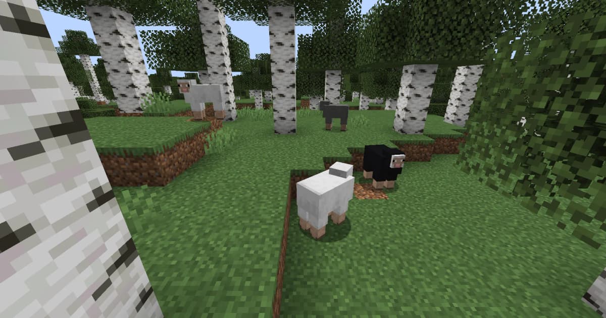Sheep inhabit most land biomes such as plains, forests, and mountain biomes. They often appear in groups, which makes…