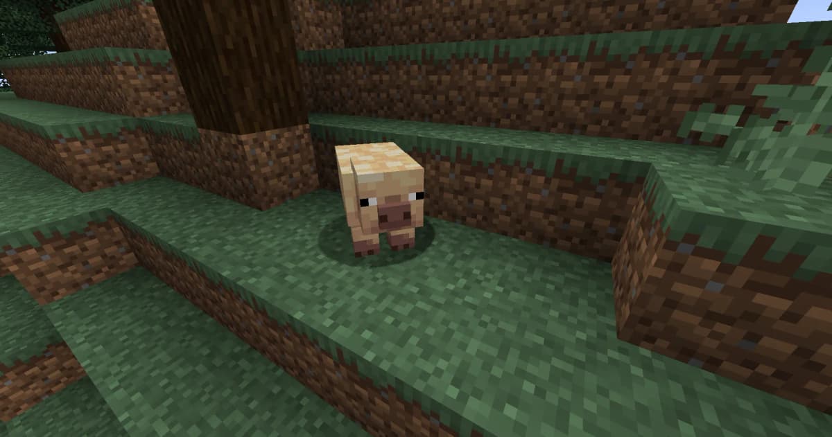 Cold Variant – light beige color, found in cold biomes.