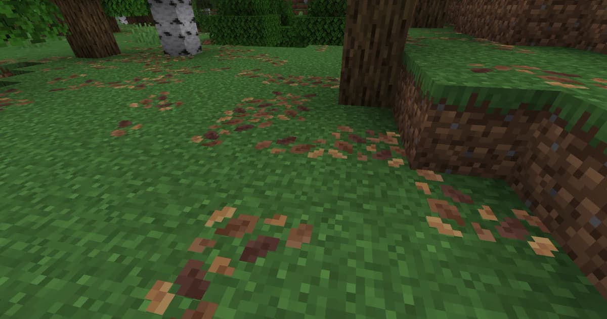 It generates in forest, dark forest, and wooded badlands biomes. The new block does not regenerate over time.