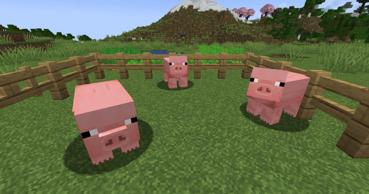 Breeding Pigs: Feeding two adult pigs with any suitable food (carrots, potatoes, or beetroots) activates breeding mode…