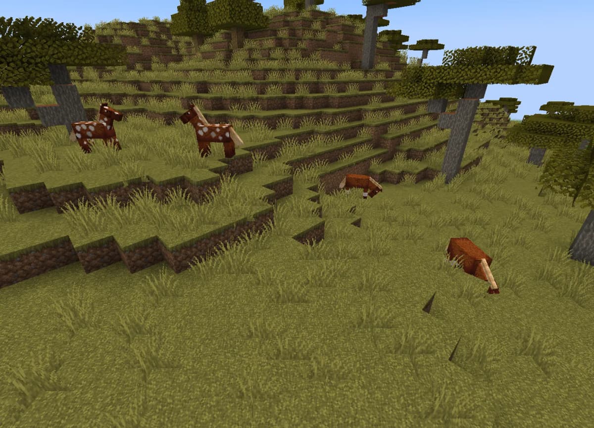 Horses usually spawn in groups, so you can choose the one you like the most.