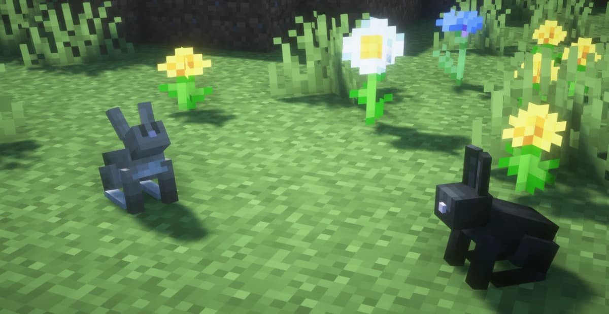 Deserts Flower Forests Snowy Tundras (white rabbits spawn here)
