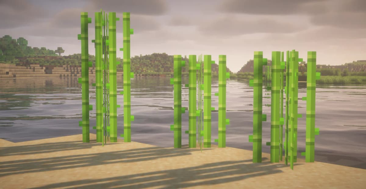 Find Sugarcane Sugarcane can be found near water—usually along the shores of rivers, lakes, or oceans. It’s easy to spot by…