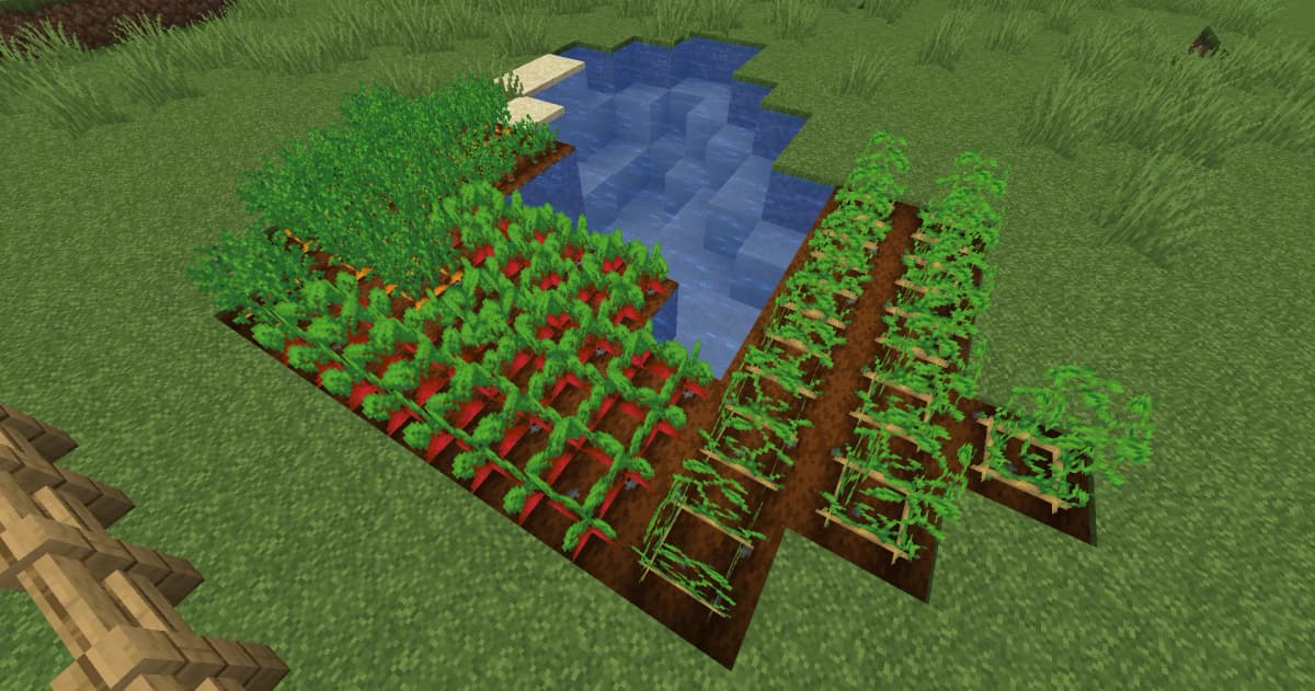 Carrots Where to Find: Carrots can be found in village farms or chests. Sometimes zombies drop carrots. How to Grow: Plant…