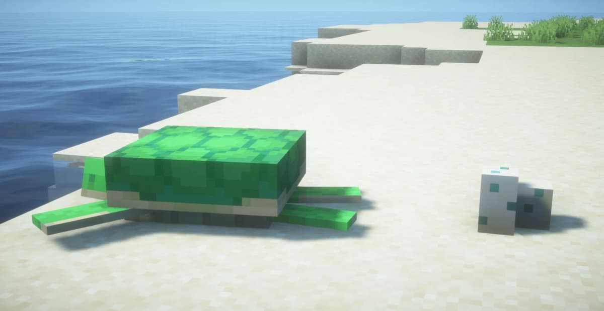 Find turtle eggs on the beach. Eggs appear when two turtles breed after being fed seagrass.