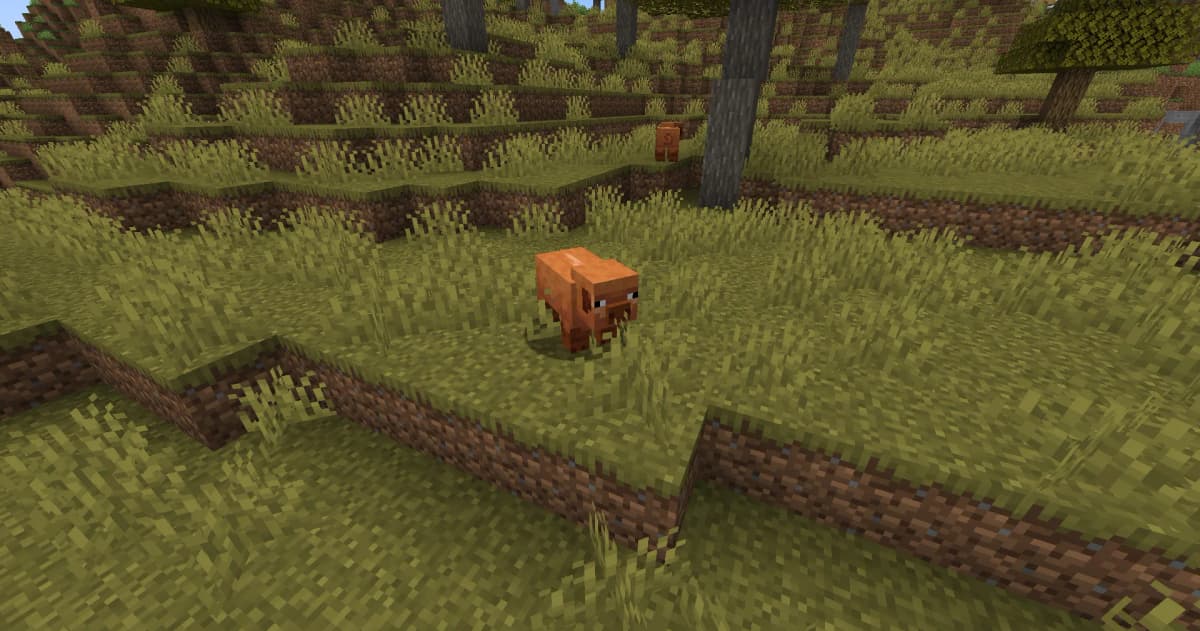Warm Variant – brown color, found in warm biomes.