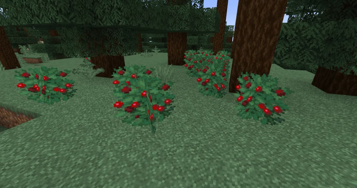 Where to Find: Sweet berries can be found in bushes in Taiga or Snowy Taiga biomes. How to Collect: Right-click on the bush…