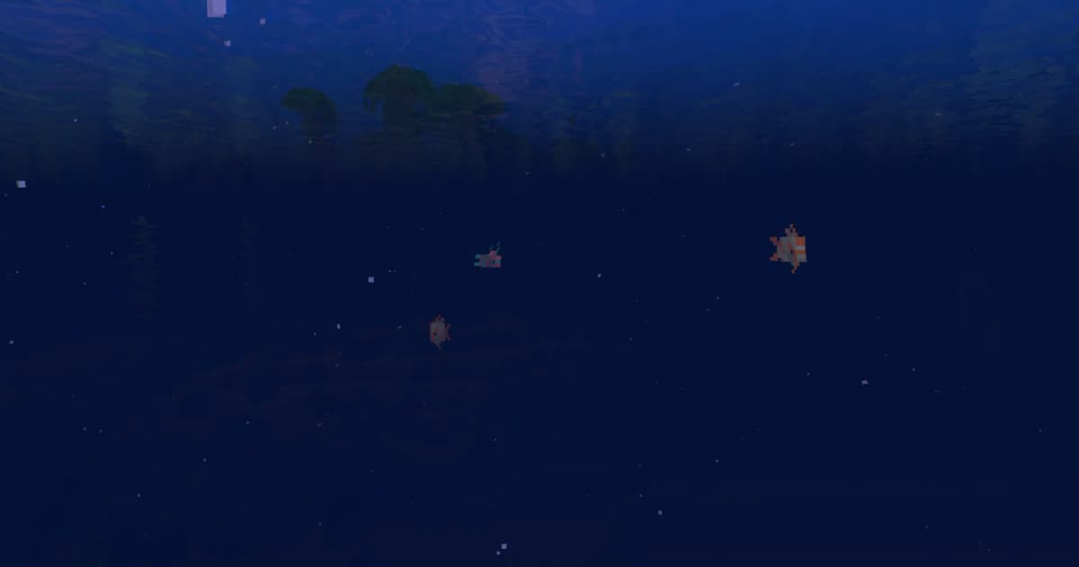 Find tropical fish in bodies of water located in warm oceans or tropical biomes.