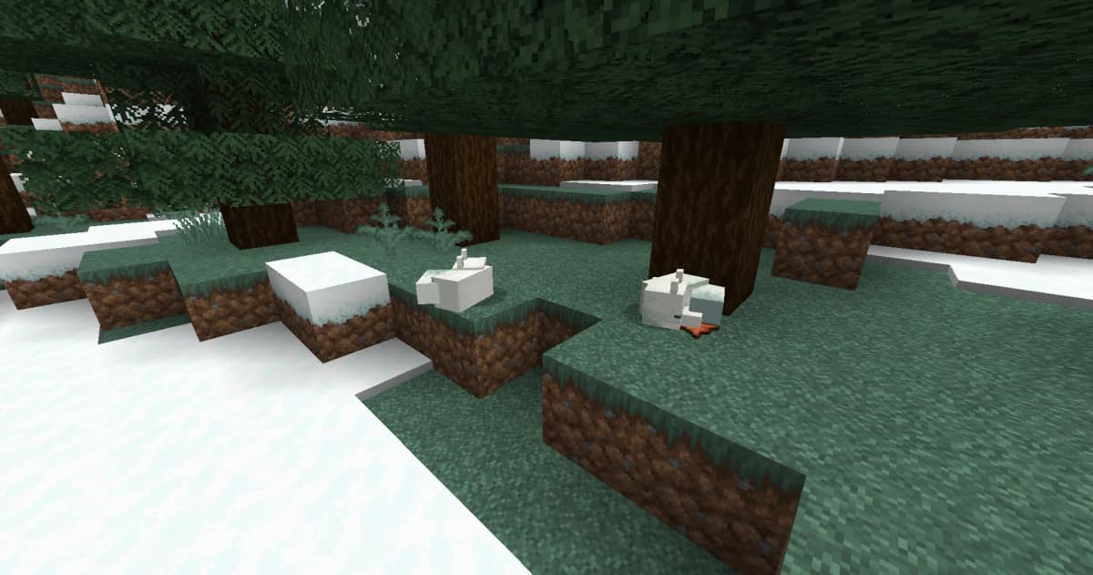 Foxes usually spawn in small groups, typically with 2–4 adults and occasionally a baby fox.