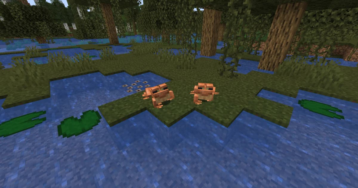 To breed frogs, you need to feed them slime balls. After that, frogs lay eggs in water.
