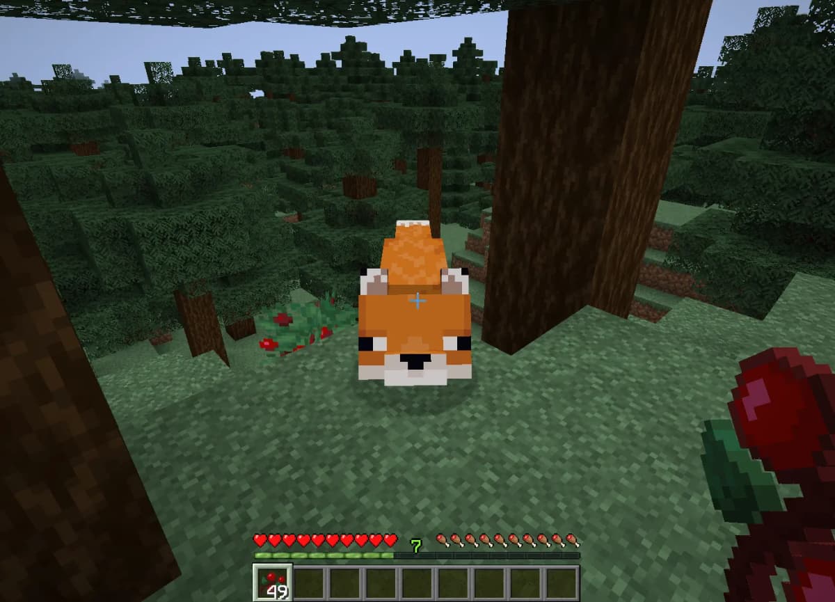 Approach each fox and right-click while holding sweet berries in your hand. After feeding, hearts will appear above the…