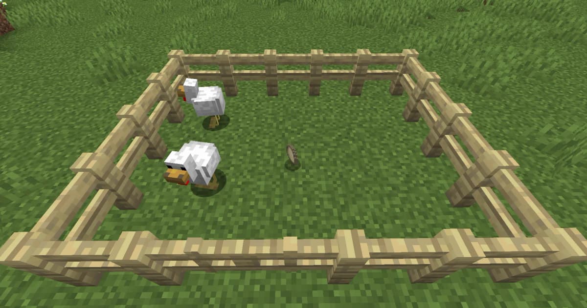 4. Egg Eggs are laid by chickens over time. If you don’t have chickens yet, check out our article «How to Tame a Chicken in…