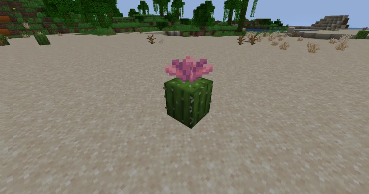 Cactus flowers appear on cacti that are one to three blocks tall. They naturally generate in certain biomes and can be…