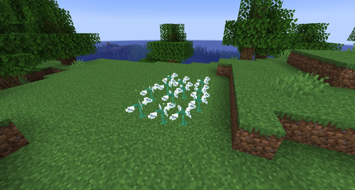 Some flower species are especially important for the next stages, so be sure to pay attention to them in advance.