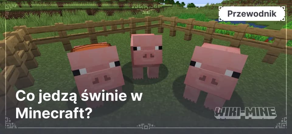 Co jedzą świnie w Minecraft?