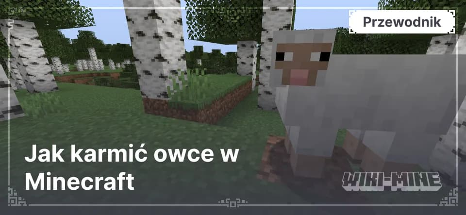 Jak karmić owce w Minecraft