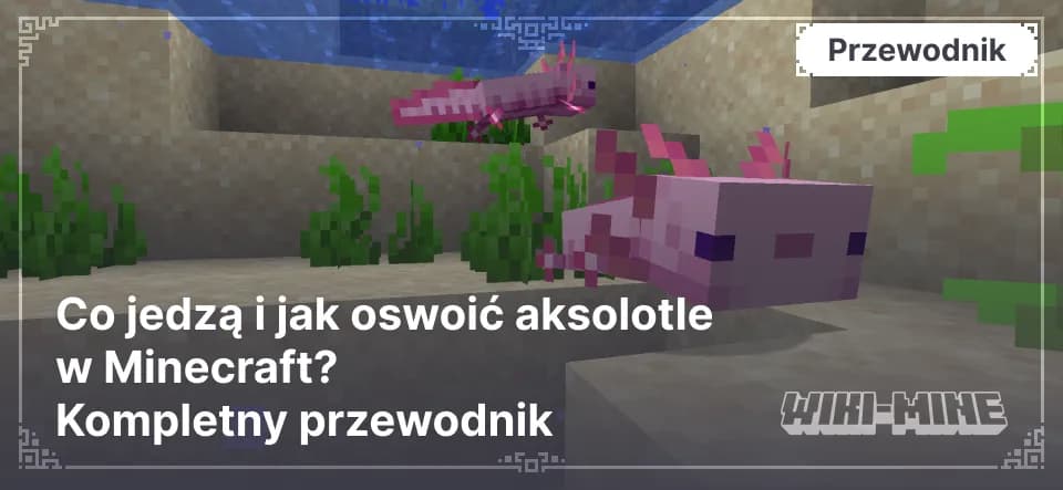 Co jedzą i jak oswoić aksolotle w Minecraft? Kompletny przewodnik