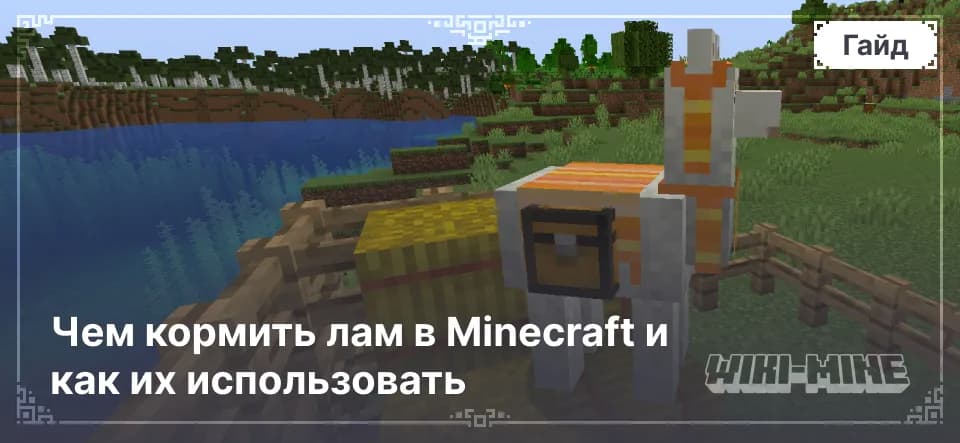 Чем кормить лам в Minecraft и как их использовать