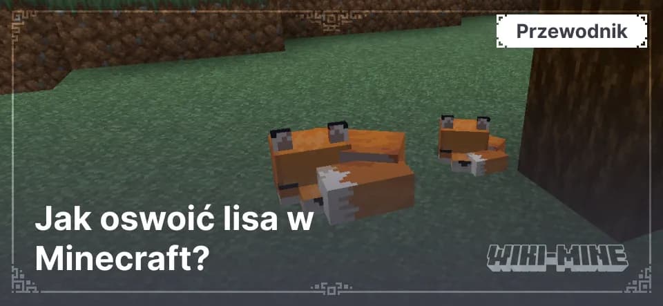 Jak oswoić lisa w Minecraft? — Gdzie znaleźć lisa w Minecraft?Lisy występują w następujących biomach:Ciemne lasy: Tutaj najczęściej znajdziesz rude lisy.Zaśnieżone tajgi: 