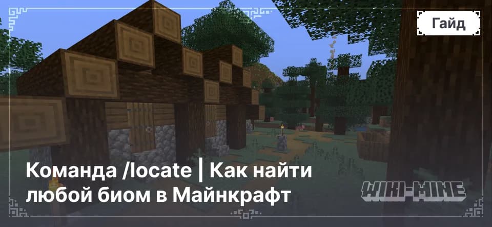 Команда /locate | Как найти любой биом в Майнкрафт