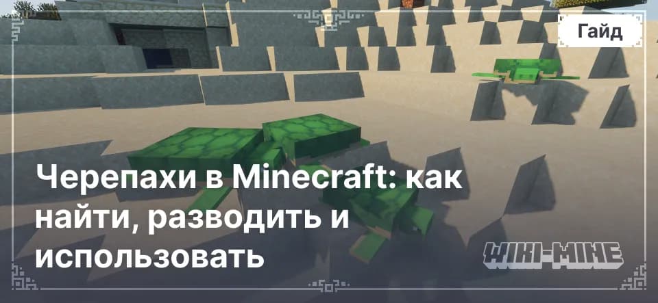 Черепахи в Minecraft: как найти, разводить и использовать