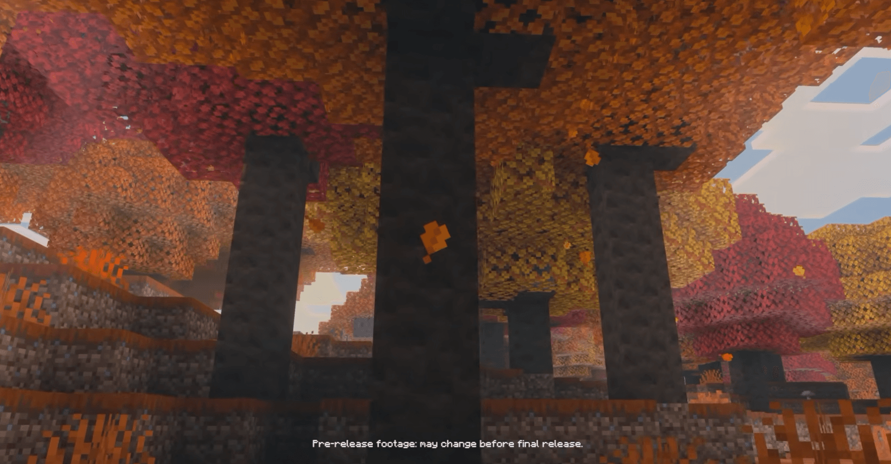 Dappled Forest — новий осінній біом для Minecraft