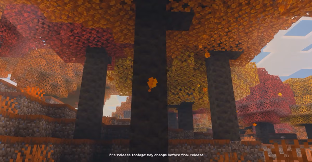 A forest biome in warm autumn shades that will generate in the cold regions of the Overworld. Patches of coarse dirt, leaf…