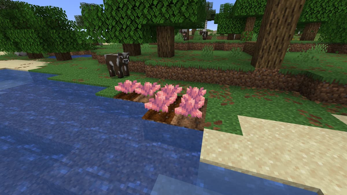 Piston: Blocks broken by a piston now play their own breaking sound. Test Block and Test Instance Block: Textures have been…