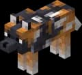 Spotted Wolf