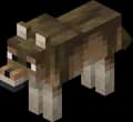 Woods Wolf