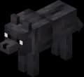 Black Wolf
