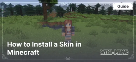 How to Install a Skin in Minecraft