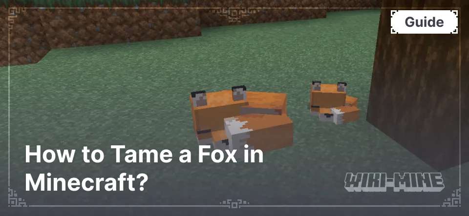 How to Tame a Fox in Minecraft?