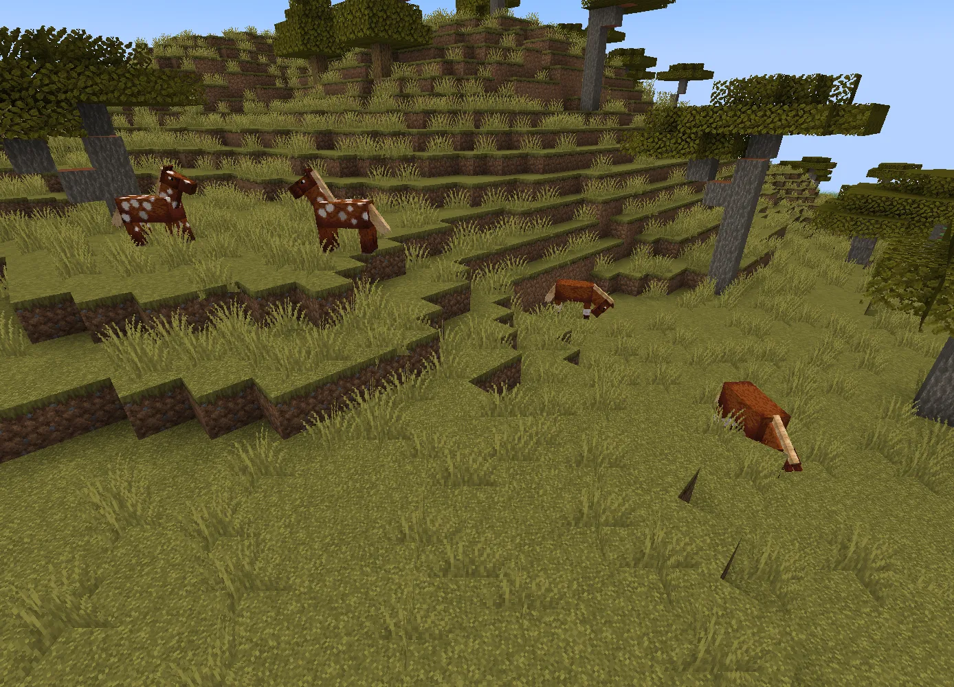 Horses usually spawn in groups, so you can choose the one you like the most.