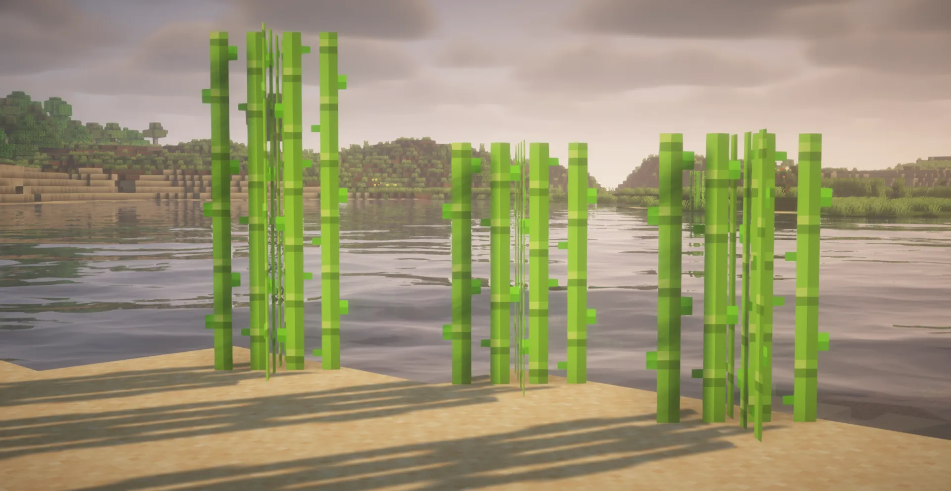 Find Sugarcane Sugarcane can be found near water—usually along the shores of rivers, lakes, or oceans. It’s easy to spot by…
