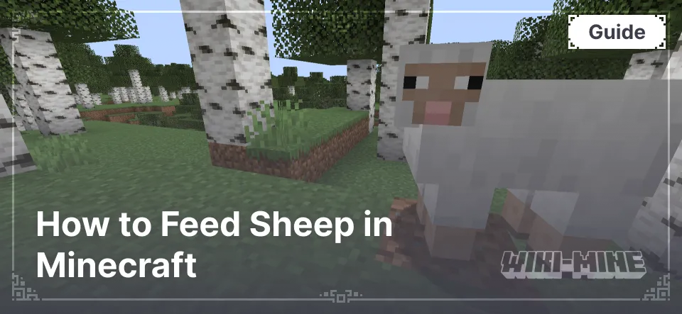 How to Feed Sheep in Minecraft