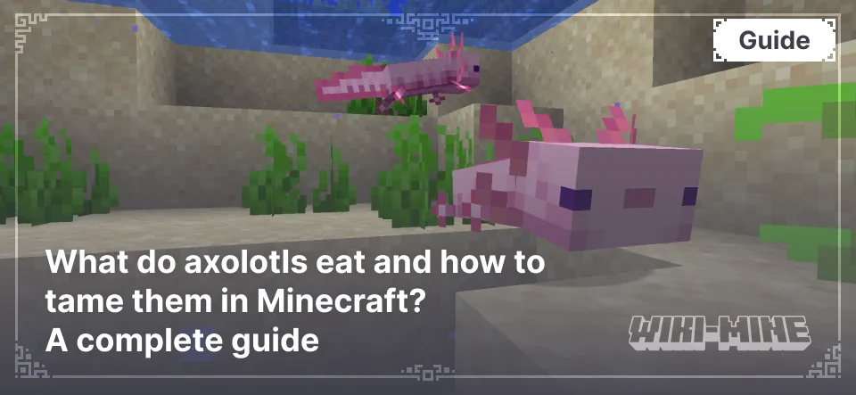 What do axolotls eat and how to tame them in Minecraft? A complete guide