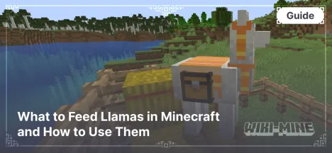 What to Feed Llamas in Minecraft and How to Use Them