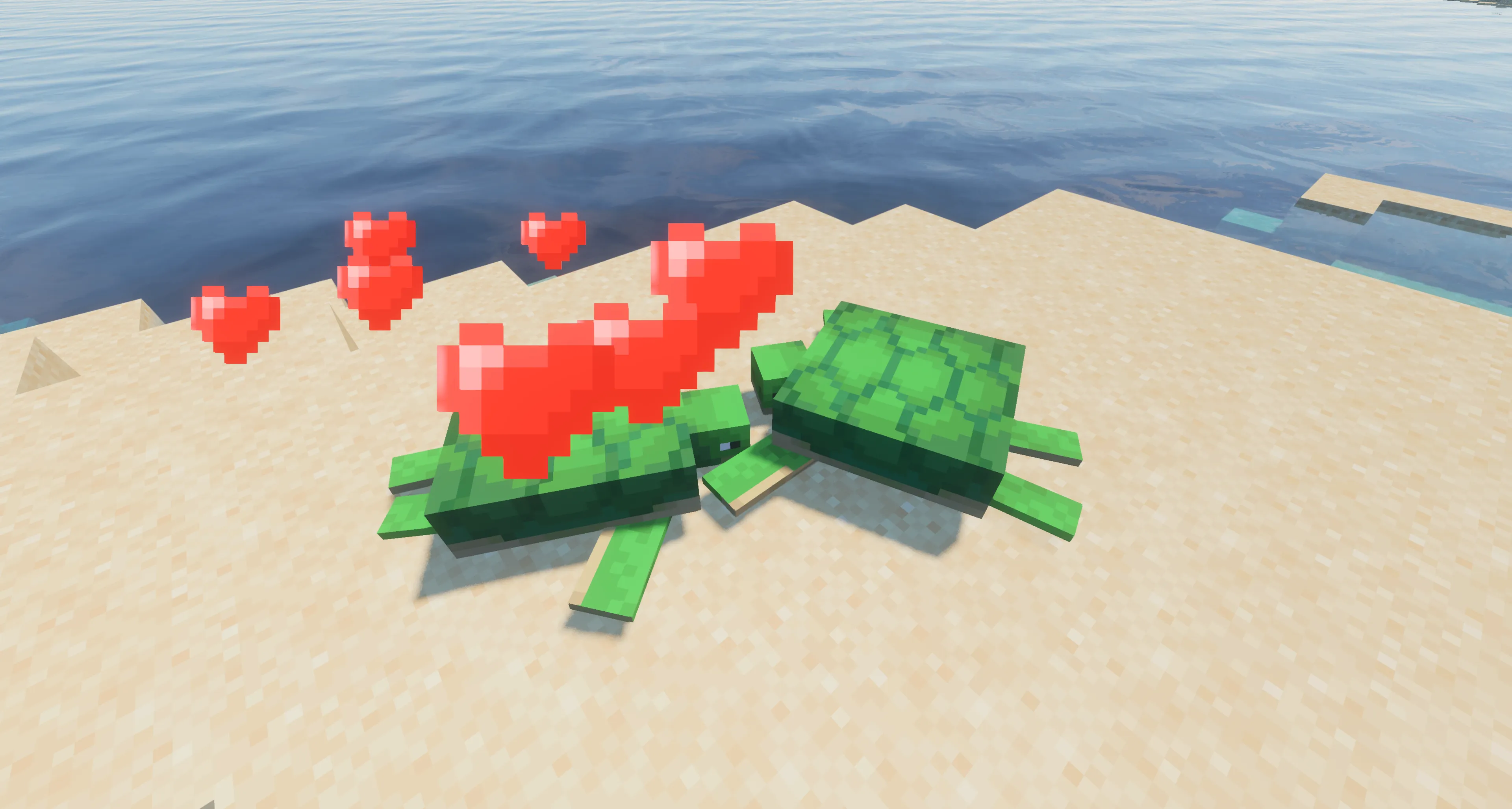 2. One of the turtles will become pregnant and return to its home beach.