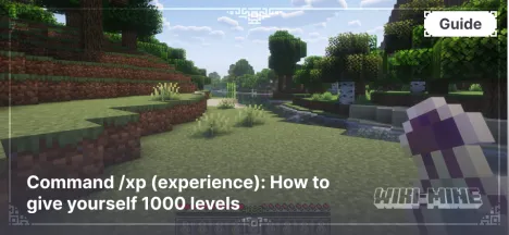 Command /xp (experience): How to give yourself 1000 levels